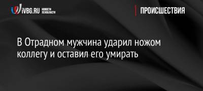 В Отрадном мужчина ударил ножом коллегу и оставил его умирать - ivbg.ru - р-н Кировский - Ленобласть