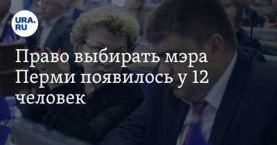 Александр Филиппов - Право выбирать мэра Перми появилось у 12 человек. Шесть из них депутаты - ura.news - Пермь