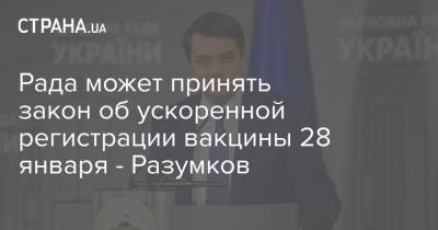 Михаил Радуцкий - Рада может принять закон об ускоренной регистрации вакцины 28 января - Разумков - strana.ua - Мексика