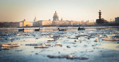 Михаил Леус - 25 января петербургская погода поставила рекорд по теплу - neva.today - Санкт-Петербург