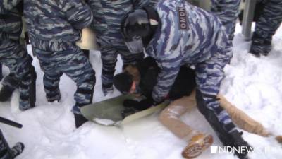 Татьяна Москалькова - «Эхо» субботних протестов: россияне массово поддают жалобы на действия силовиков - newdaynews.ru - Москва - Санкт-Петербург - Владимирская обл. - Свердловская обл. - Ярославская обл.
