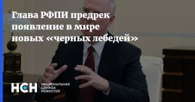 Кирилл Дмитриев - Глава РФПИ предрек появление в мире новых «черных лебедей» - nsn.fm