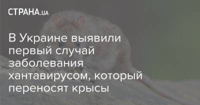 В Украине выявили первый случай заболевания хантавирусом, который переносят крысы - strana.ua - Киев