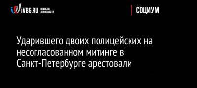 Ударившего двоих полицейских на несогласованном митинге в Санкт-Петербурге арестовали - ivbg.ru - Россия - Санкт-Петербург