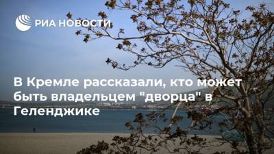 Владимир Путин - Алексей Навальный - Дмитрий Песков - В Кремле рассказали, кто может быть владельцем "дворца" в Геленджике - ria.ru - Москва - Геленджик