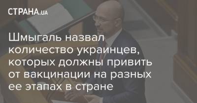 Максим Степанов - Денис Шмыгаль - Шмыгаль назвал количество украинцев, которых должны привить от вакцинации на разных ее этапах в стране - strana.ua