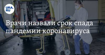 Евгений Тимаков - Врачи назвали срок спада пандемии коронавируса - ura.news - Москва