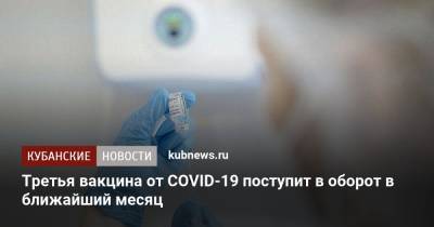 Михаил Мишустин - Третья вакцина от COVID-19 поступит в оборот в ближайший месяц - kubnews.ru