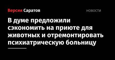 Николай Бондаренко - Александр Анидалов - В думе предложили сэкономить на приюте для животных и отремонтировать психиатрическую больницу - nversia.ru