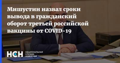 Михаил Мишустин - Мишустин назвал сроки вывода в гражданский оборот третьей российской вакцины от COVID-19 - nsn.fm - Новосибирск