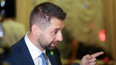 Давид Арахамия - Евгения Кравчук - Арахамия предупредил «слуг» об исключении из фракции - real-vin.com