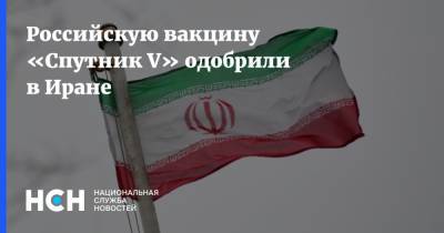 Сергей Лавров - Мохаммад Джавад - Российскую вакцину «Спутник V» одобрили в Иране - nsn.fm - Россия - Турция - Иран