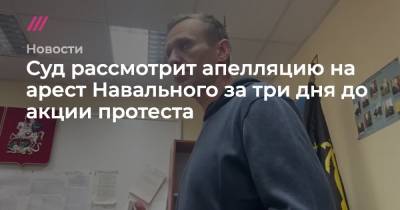 Алексей Навальный - Суд рассмотрит апелляцию на арест Навального за три дня до акции протеста - tvrain.ru