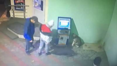 Жительница Керчи, пристававшая к собаке, едва не лишилась глаза. Видео - vesti.ru - Керчь