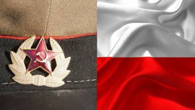Польские общественники назвали подлостью снос мемориала красноармейцам - riafan.ru - Варшава