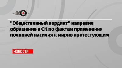 «Общественный вердикт» направил обращение в СК по фактам применения полицией насилия к мирно протестующим - echo.msk.ru - Москва