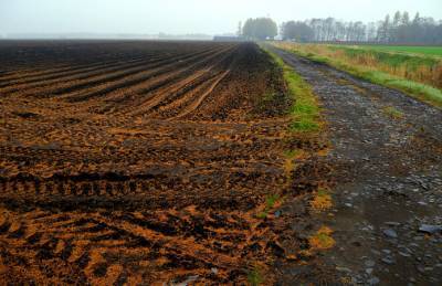 Агропредприятия Виннитчиты обрабатывают 63% сельхозземель области - agroportal.ua
