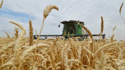 Викторий Абрамченко - Эдуард Зернин - В Союзе экспортёров зерна прокомментировали повышение экспортной пошлины на пшеницу - russian.rt.com