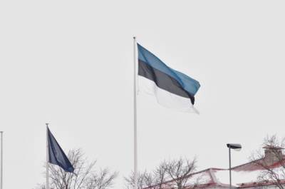 Юри Ратас - Керсти Кальюлайд - Кая Каллас - Кай Каллас - Премьер-министром Эстонии стала лидер Партии реформ Кая Каллас - pnp.ru - Эстония