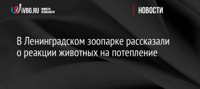 Ольга Волкова - В Ленинградском зоопарке рассказали о реакции животных на потепление - ivbg.ru - Санкт-Петербург