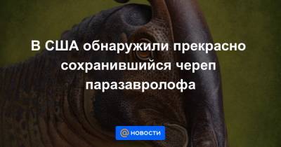 В США обнаружили прекрасно сохранившийся череп паразавролофа - news.mail.ru - USA - штат Нью-Мексико