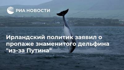 Владимир Путин - Ирландский политик заявил о пропаже знаменитого дельфина "из-за Путина" - ria.ru - Москва - Россия - Ирландия
