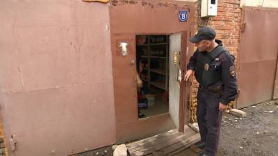 Павел Крашенинников - Андрей Турчак - Госдума приняла закон о гаражной амнистии - vesti.ru