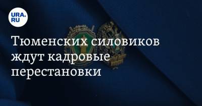 Владислав Московских - Тюменских силовиков ждут кадровые перестановки - ura.news - Тюменская обл.