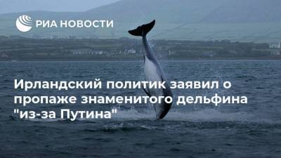 Владимир Путин - Ирландский политик заявил о пропаже знаменитого дельфина “из-за Путина” - skuke.net - Москва - Россия - Ирландия