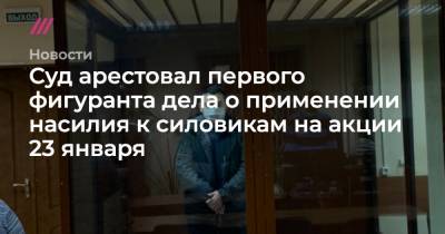 Суд арестовал первого фигуранта дела о применении насилия к силовикам на акции 23 января - tvrain.ru - Москва - респ. Калмыкия