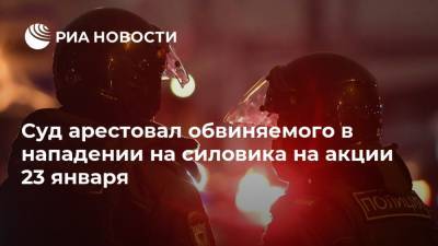 Лела Кокая - Суд арестовал обвиняемого в нападении на силовика на акции 23 января - ria.ru - Москва
