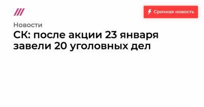 СК: после акции 23 января завели 20 уголовных дел - tvrain.ru - Москва - респ. Калмыкия