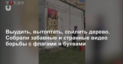Выудить, вытоптать, спилить дерево. Собрали забавные и странные видео борьбы с флагами и буквами - news.tut.by - Минск