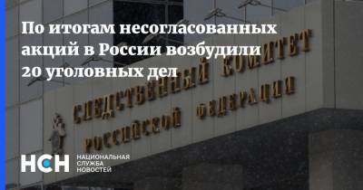 Светлана Петренко - Александр Бастрыкин - По итогам несогласованных акций в России возбудили 20 уголовных дел - nsn.fm - Москва - Санкт-Петербург - Приморье край - Калужская обл. - Липецкая обл.