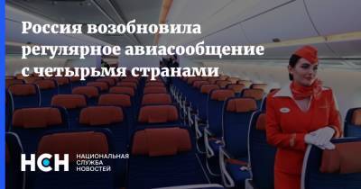 Россия возобновила регулярное авиасообщение с четырьмя странами - nsn.fm - Москва - Санкт-Петербург - Финляндия - Вьетнам - Катар - Хельсинки - Дели