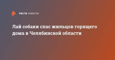 Лай собаки спас жильцов горящего дома в Челябинской области - ren.tv - Челябинская обл.