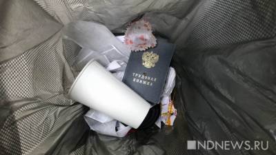 Больше половины работников отказались от электронных трудовых книжек - newdaynews.ru