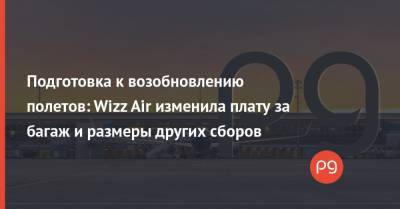 Wizz Air - Подготовка к возобновлению полетов: Wizz Air изменила плату за багаж и размеры других сборов - thepage.ua