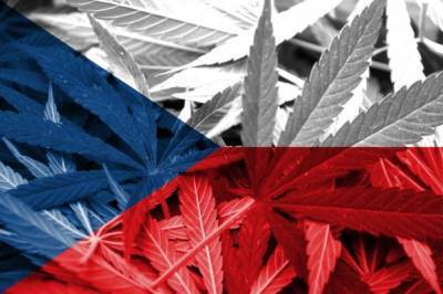 В Чехии отказались от частичной легализации марихуаны - eadaily.com - Чехия
