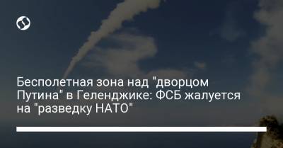 Бесполетная зона над "дворцом Путина" в Геленджике: ФСБ жалуется на "разведку НАТО" - liga.net - Краснодарский край - Геленджик