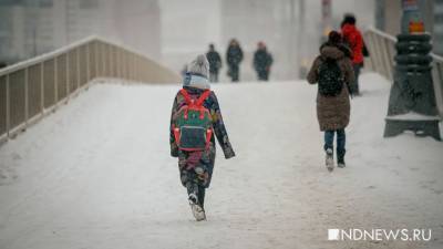 Более 60 жителей Владивостока получили травмы из-за гололеда - newdaynews.ru - Приморье край - Владивосток