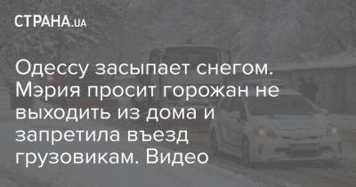 Одессу засыпает снегом. Мэрия просит горожан не выходить из дома и запретила въезд грузовикам. Видео - strana.ua - Одесса