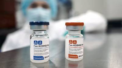 Михаил Мурашко - В Чехии обсуждают возможность покупки российской вакцины «Спутник V» - russian.rt.com - Венгрия - Чехия