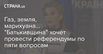 Юлия Тимошенко - Газ, земля, марихуана... "Батькивщина" хочет провести референдумы по пяти вопросам - strana.ua