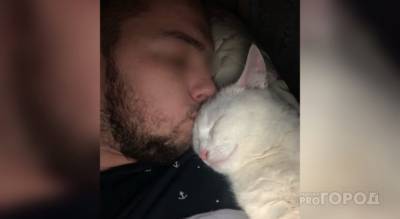"Кот тоже отравлен": в Ярославле при странных обстоятельствах погиб юноша - progorod76.ru - Ярославль