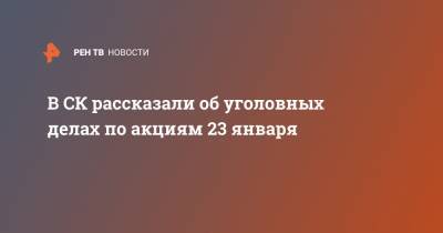 Светлана Петренко - В СК рассказали об уголовных делах по акциям 23 января - ren.tv