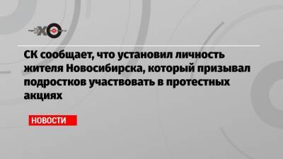 СК сообщает, что установил личность жителя Новосибирска, который призывал подростков участвовать в протестных акциях - echo.msk.ru - Новосибирск