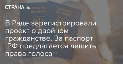 В Раде зарегистрировали проект о двойном гражданстве. За паспорт РФ предлагается лишить права голоса - strana.ua - Парламент