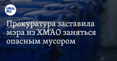 Прокуратура заставила мэра из ХМАО заняться опасным мусором - ura.news - Югра - Югорск