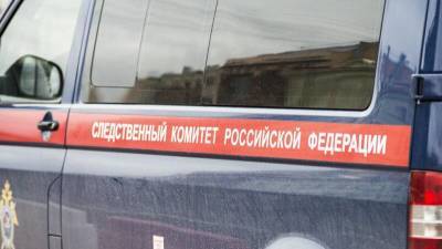 Светлана Петренко - Следком раскрыл детали расследования дел после незаконных акций в России - nation-news.ru - Москва - 23 Января